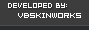vBSkinworks